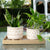 2-Piece Ceramic Pot Planter Set