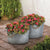 Galvanized Textured Bucket 2 Piece Pot Planter Set